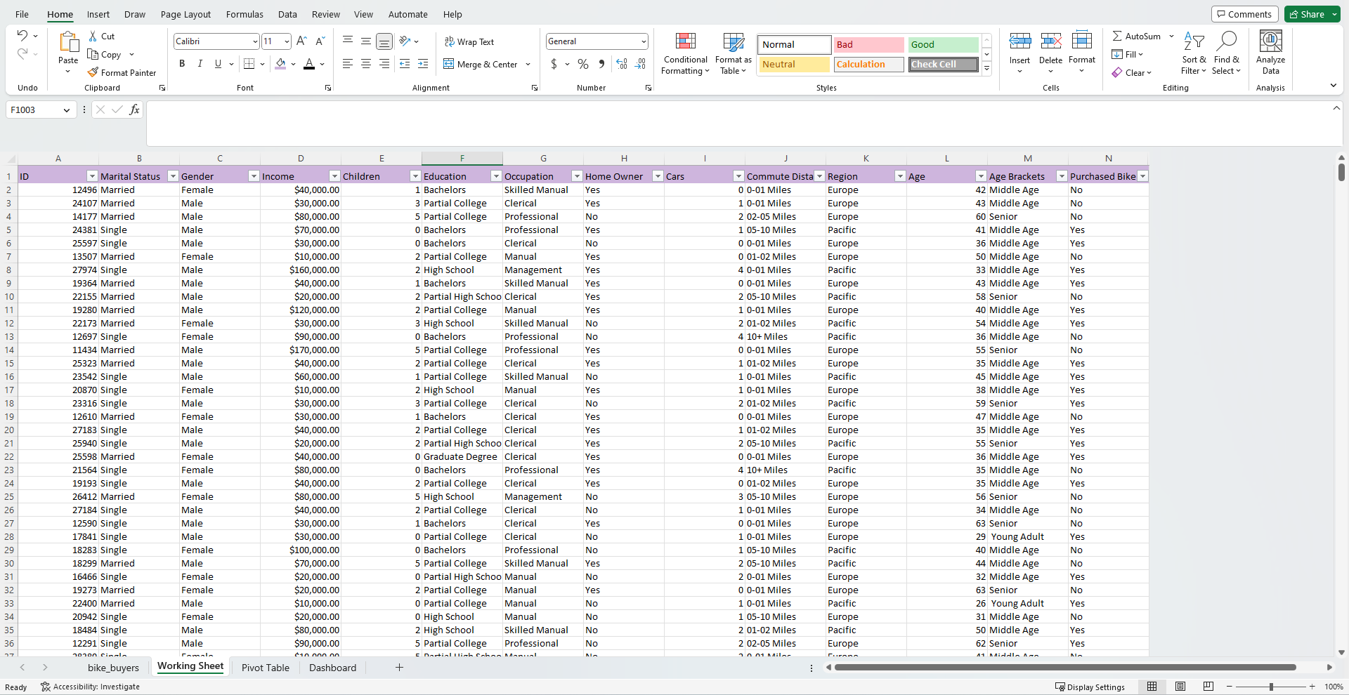 Excel Worksheet after Data Cleaning